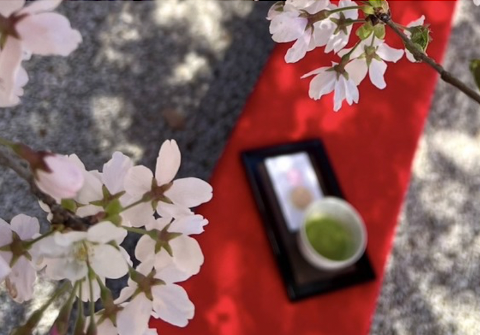 4月5日開催】お釈迦さま花まつり開催について